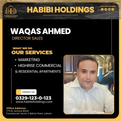 Waqas Ahmed Director Sales